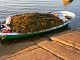 Лодка СЛК-580 Ламинария