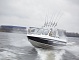 GRIZZLY PRO 580 TARGA GRIZZLY PRO 580 TARGA