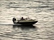 Grizzly 470 DC Grizzly 470 DC