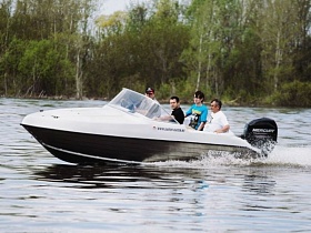 Bester-480A комбинированная