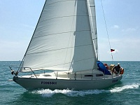 Arabesque 30 (SUPER GOOD)